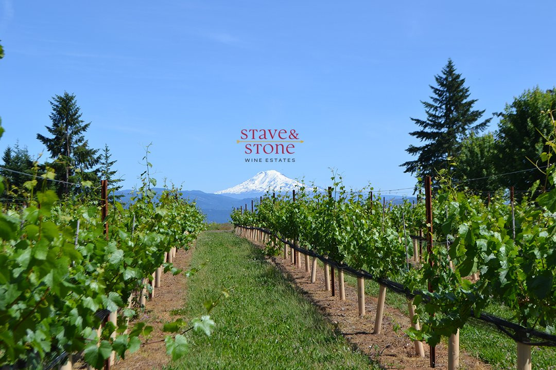 Stave & Stone Winery at the Vineyard景点图片