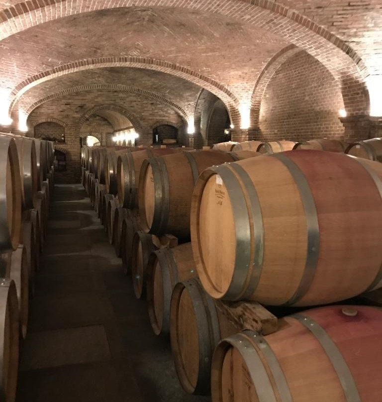 Cascina Chicco景点图片