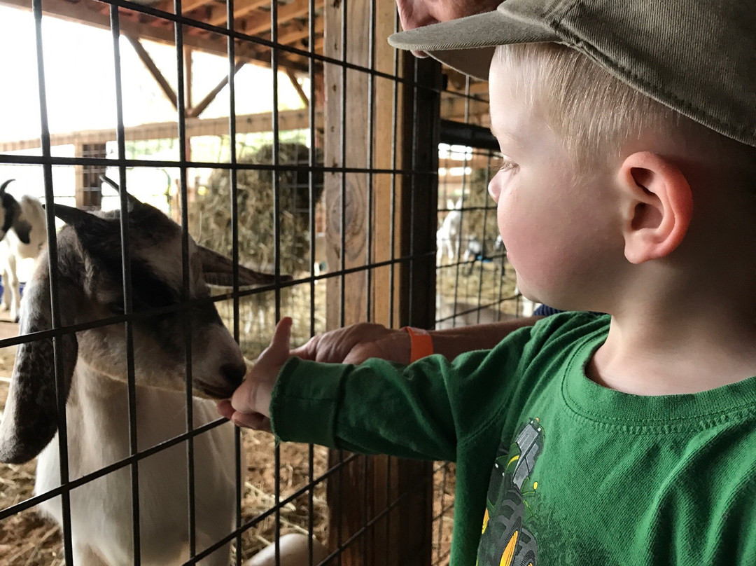 Patterson Farm Market & Tours