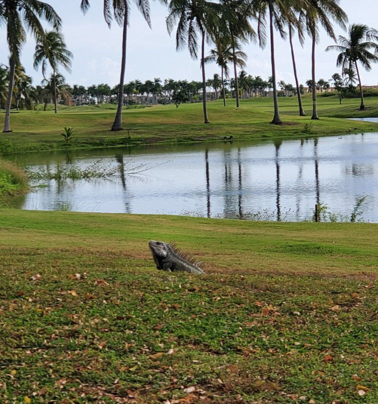 Costa Caribe Golf & Country Club景点图片