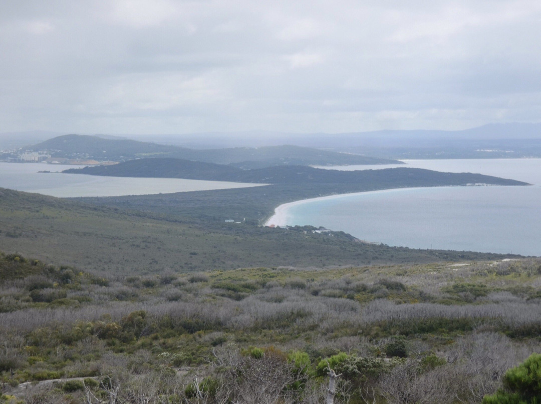Stony Hill & Peak Head-奥尔巴尼必去景点