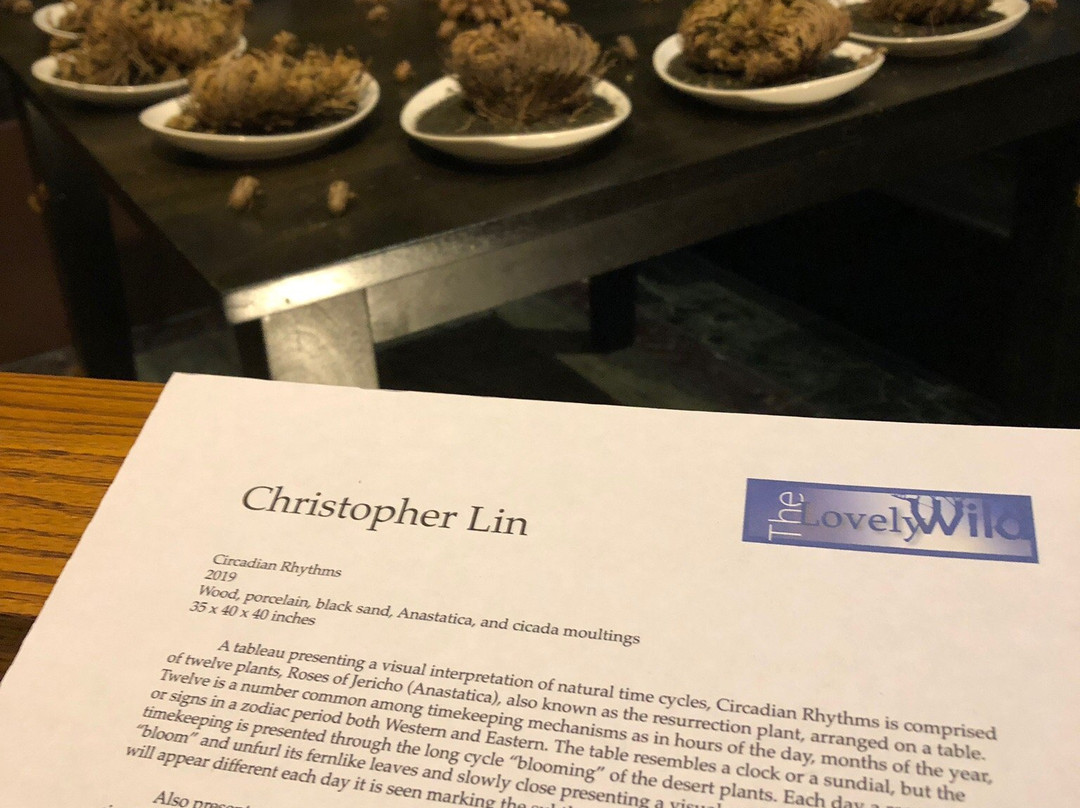 Church of St. Paul the Apostle-纽约市必去景点