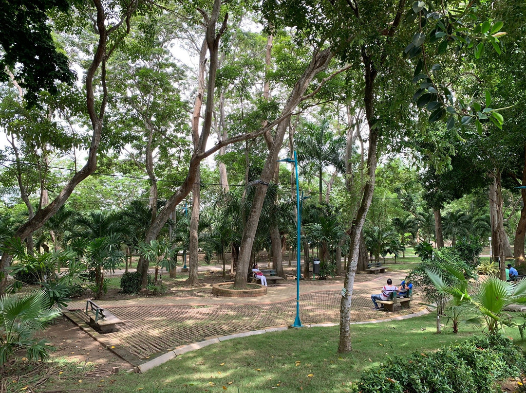 La Lorenza-Monteria必去景点