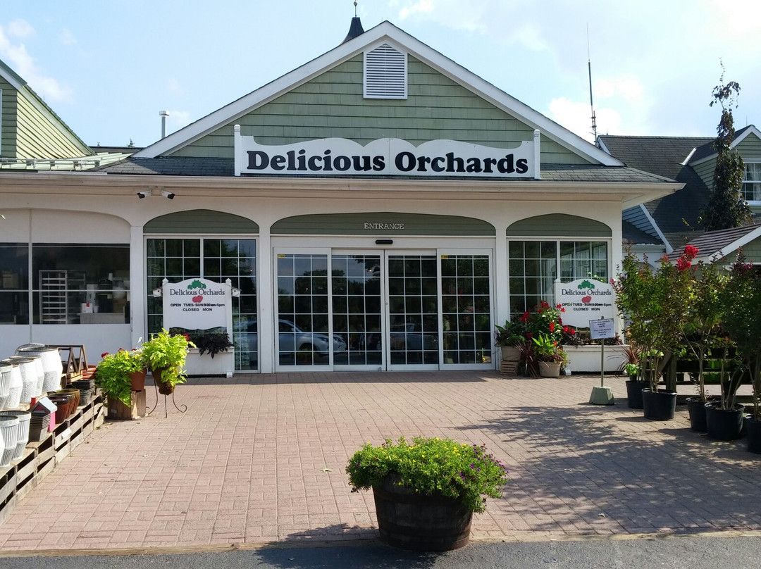 Delicious Orchards景点图片