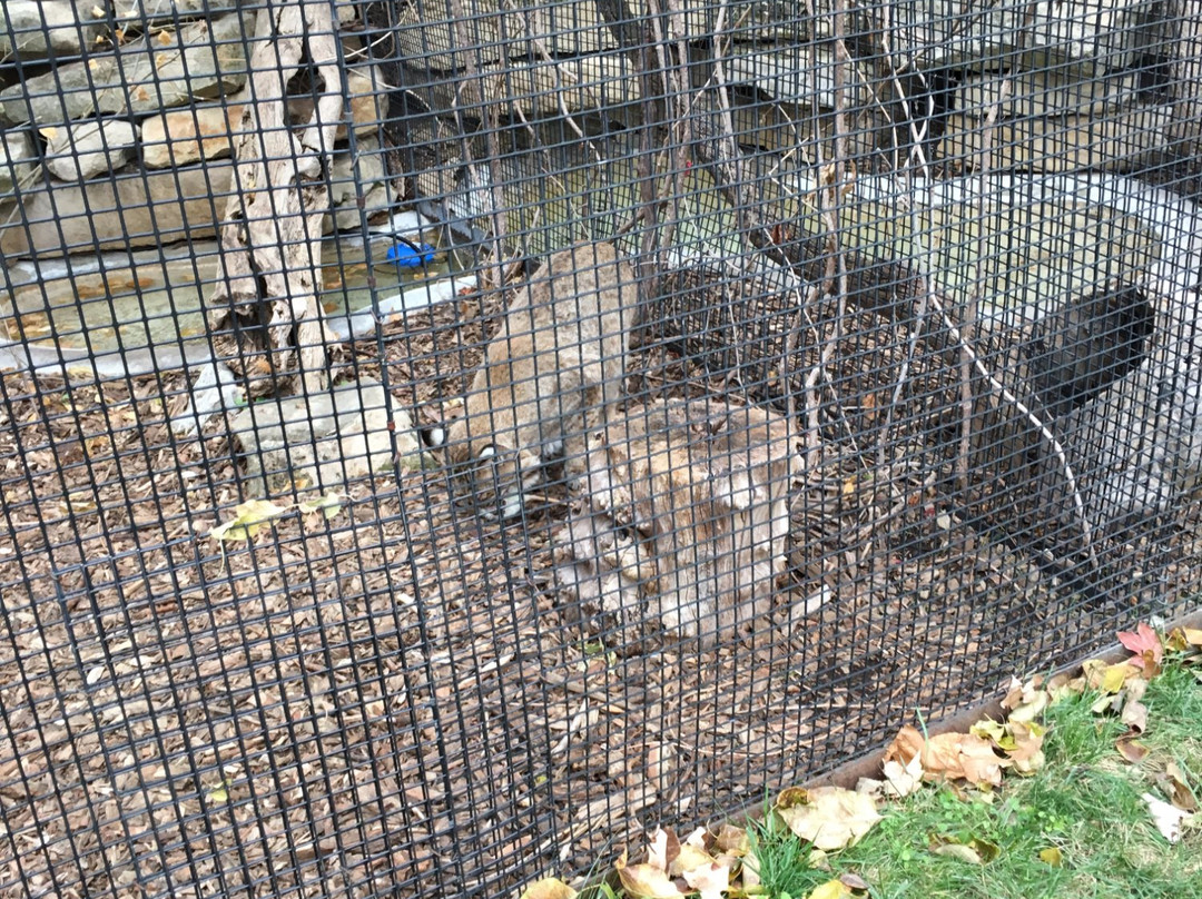 Kansas Wildlife Exhibit景点图片