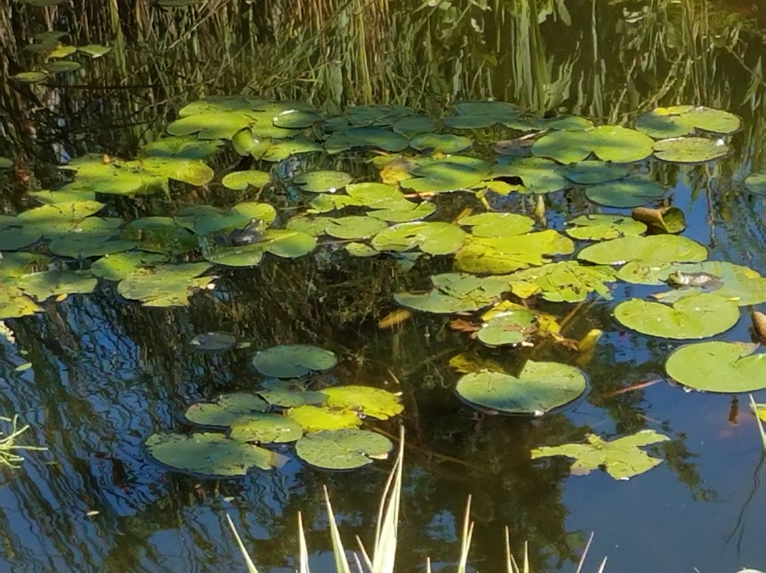 Minonk旅游景点-Whistlestop Miniature Golf Course