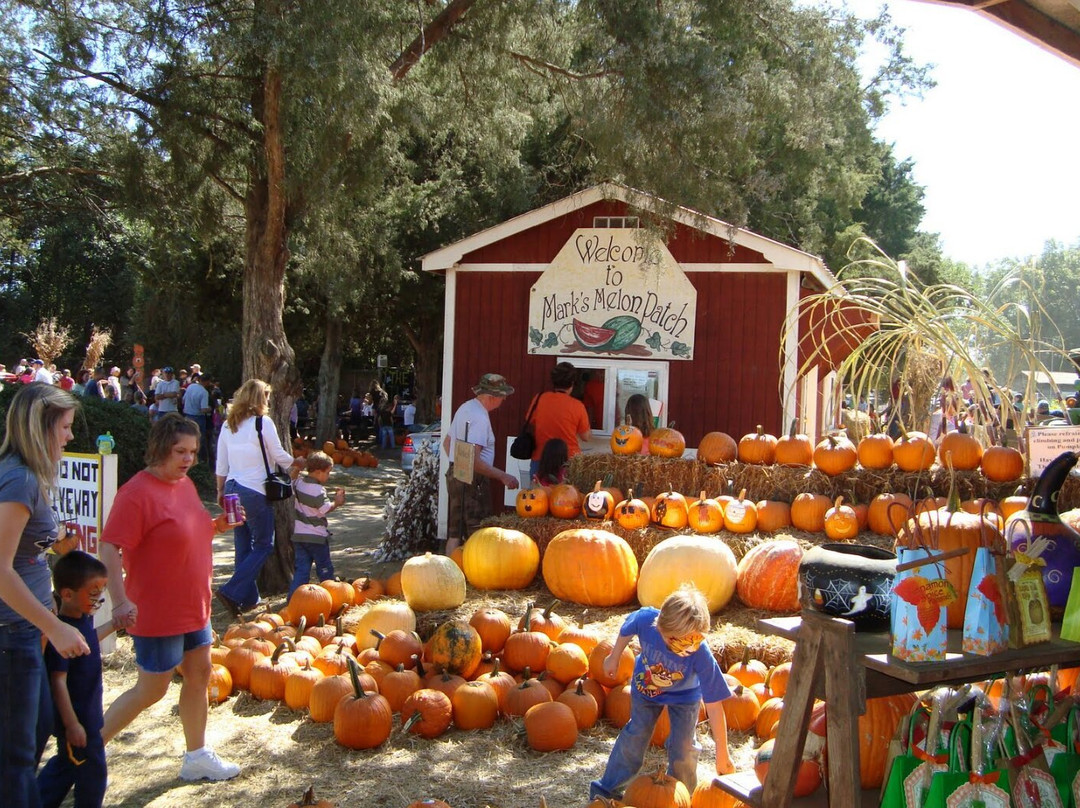 Dawson旅游景点-Marks Melon Patch