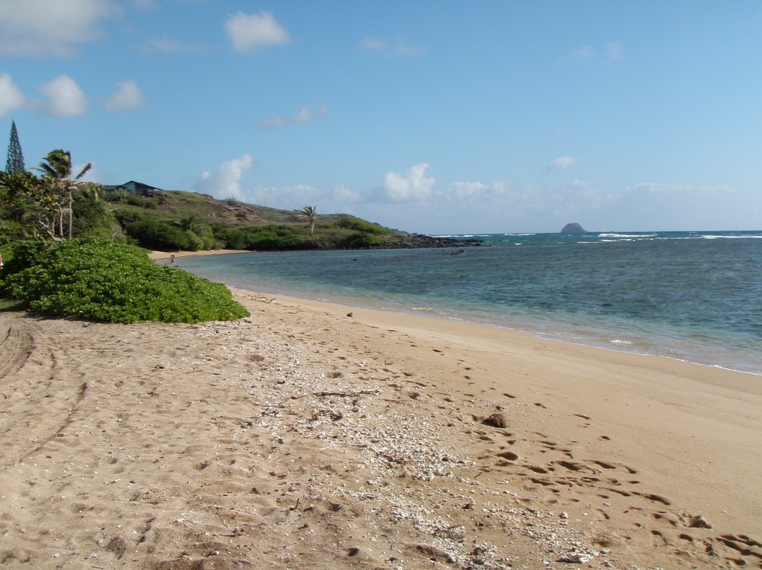 Waialua Beach景点图片