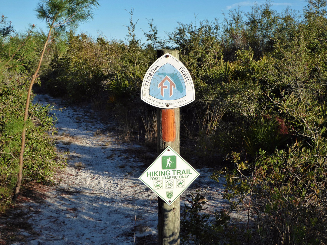 Seminole State Forest景点图片