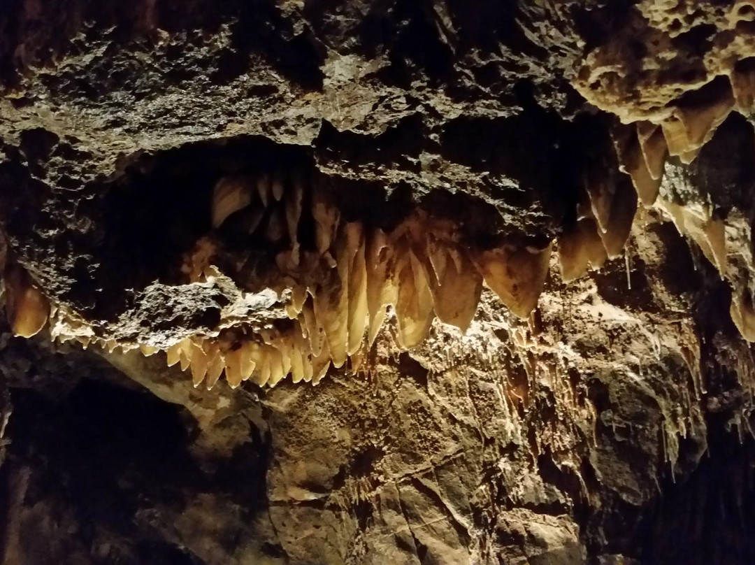 California Cavern, State Historic Landmark景点图片
