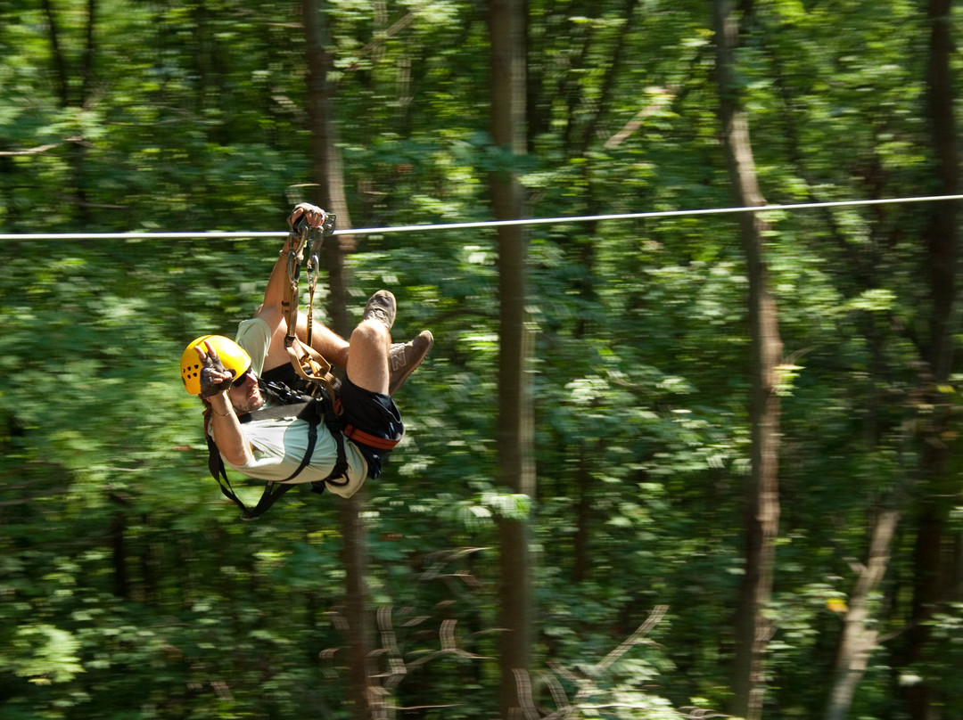 TreeTops Canopy Tour景点图片