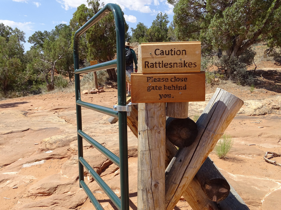 Cave Canyon Indian Towers