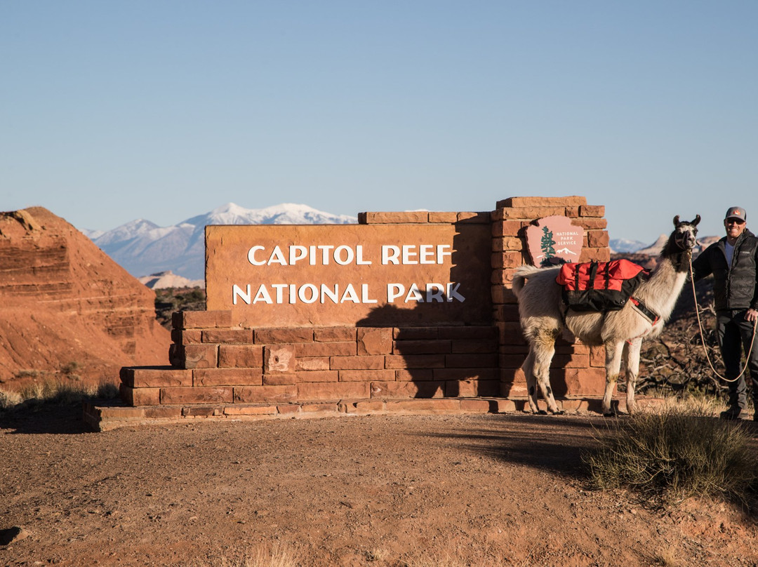 Wilderness Ridge Adventures-托里必去景点