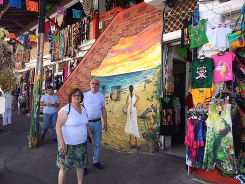 My Tours Vallarta-瓦拉塔港必去景点