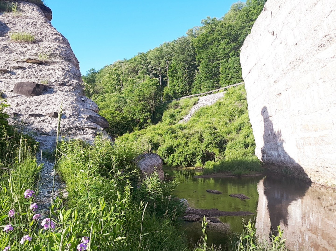 Austin Dam Memorial Park景点图片