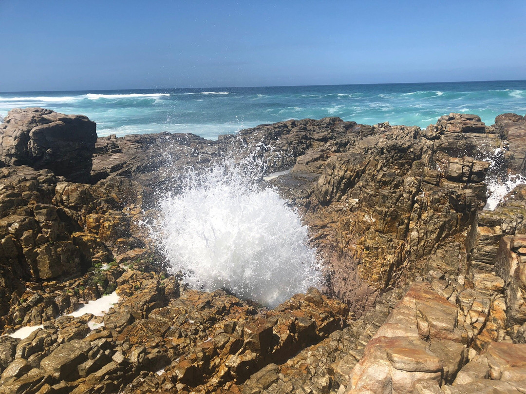 Blow Hole Hike景点图片