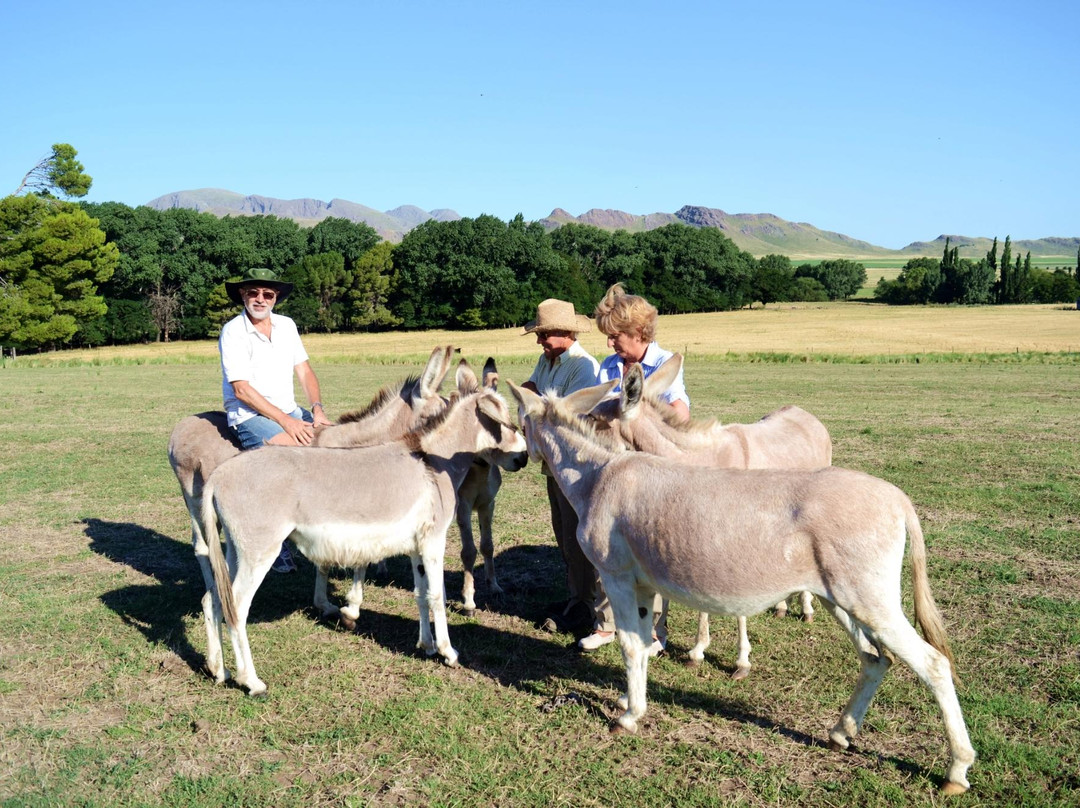 Estancia Mahuida Co景点图片
