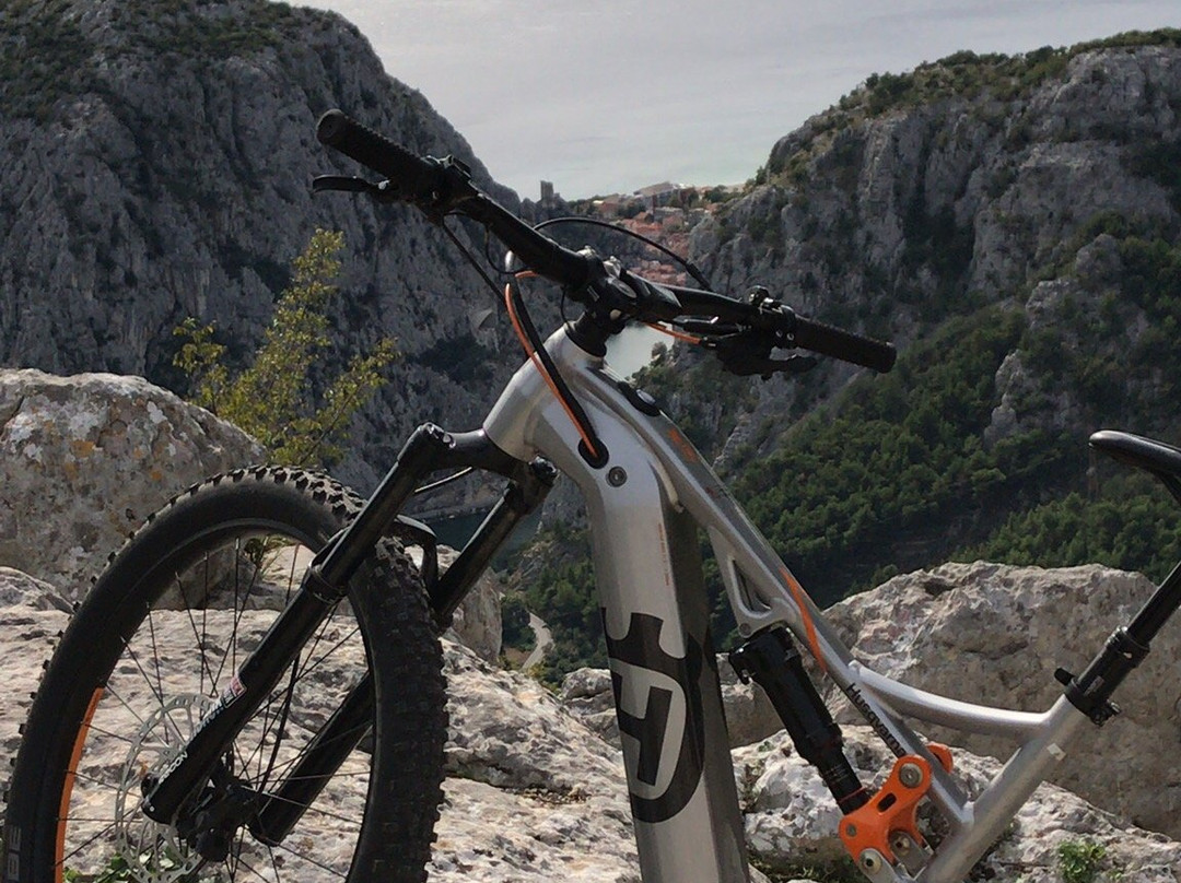 Mufflon Bicycles景点图片