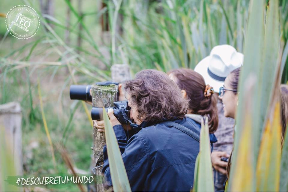 Turismo Estrategico Quindio