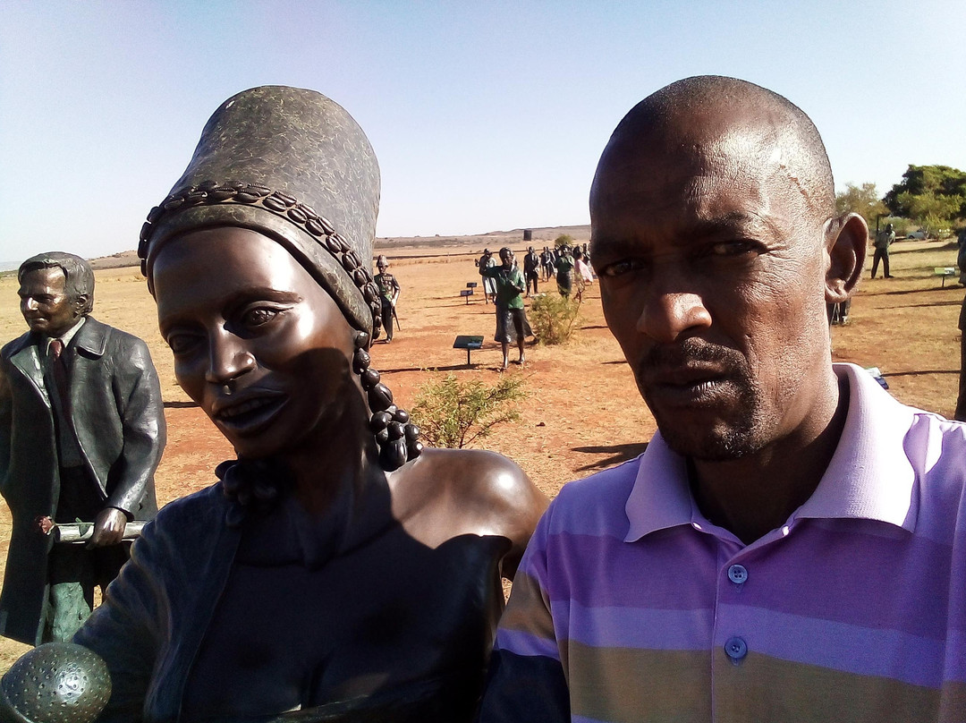 Soweto and Johannesburg Car tour景点图片