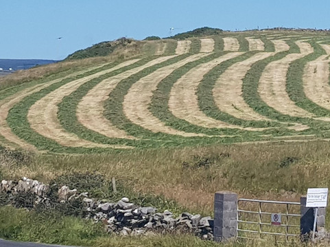 O Rourke Tours-戈尔韦必去景点