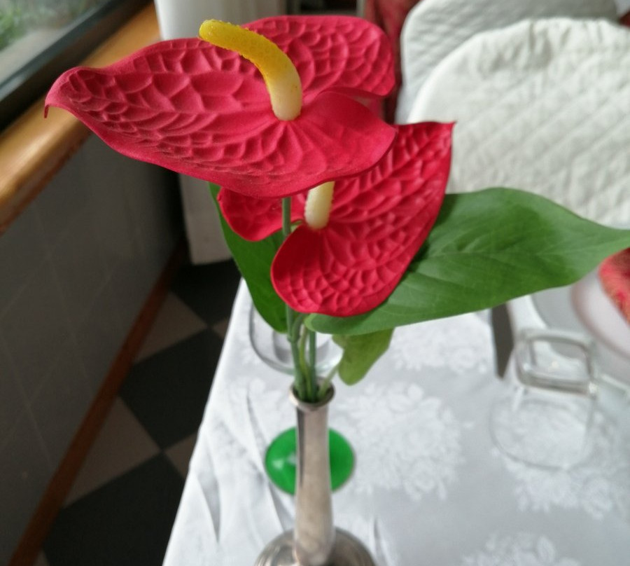 Platani Hotel ****主图