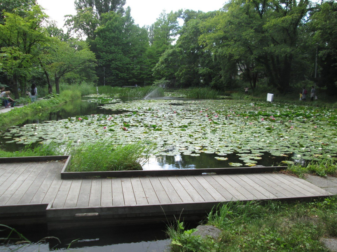 Hokkaido University Ono Pond景点图片
