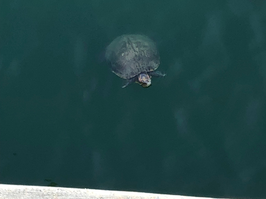 The Chateau at Lake La Quinta主图