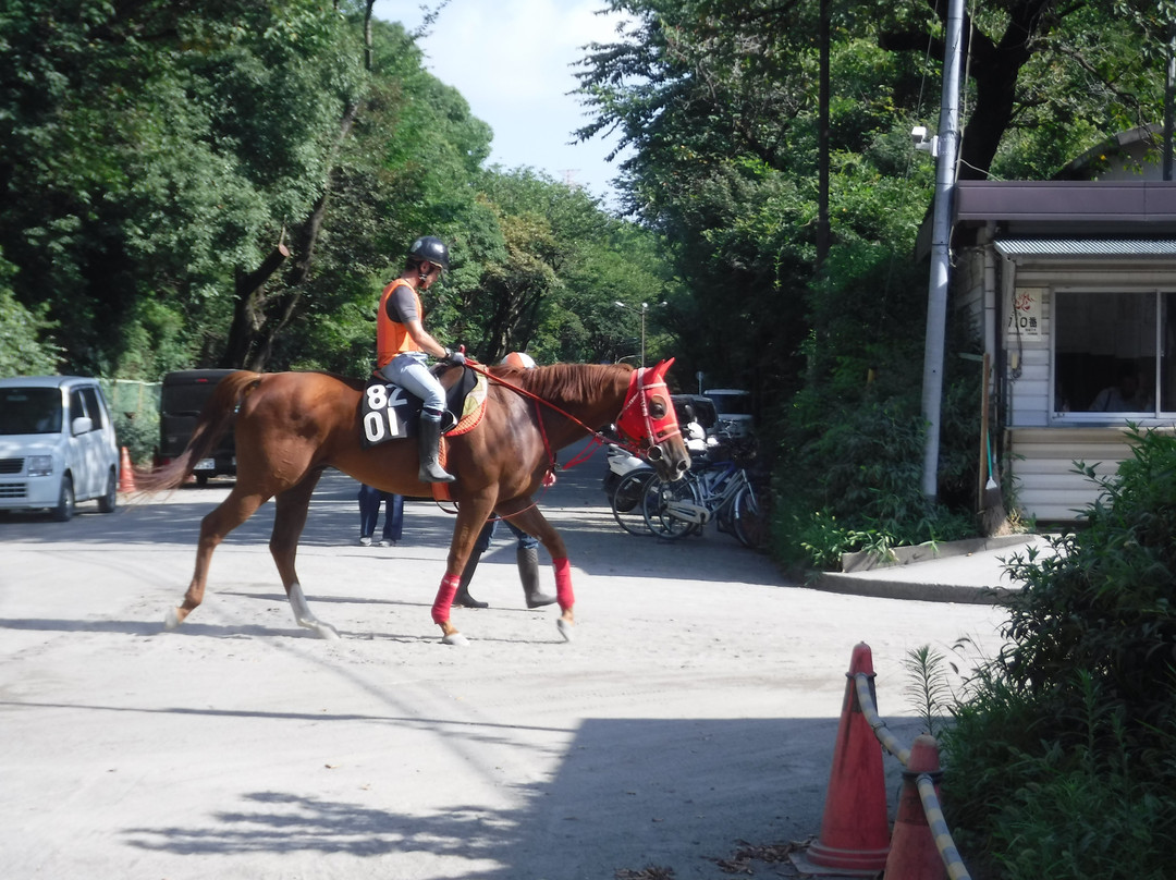 Kobayashi Farm-印西市必去景点
