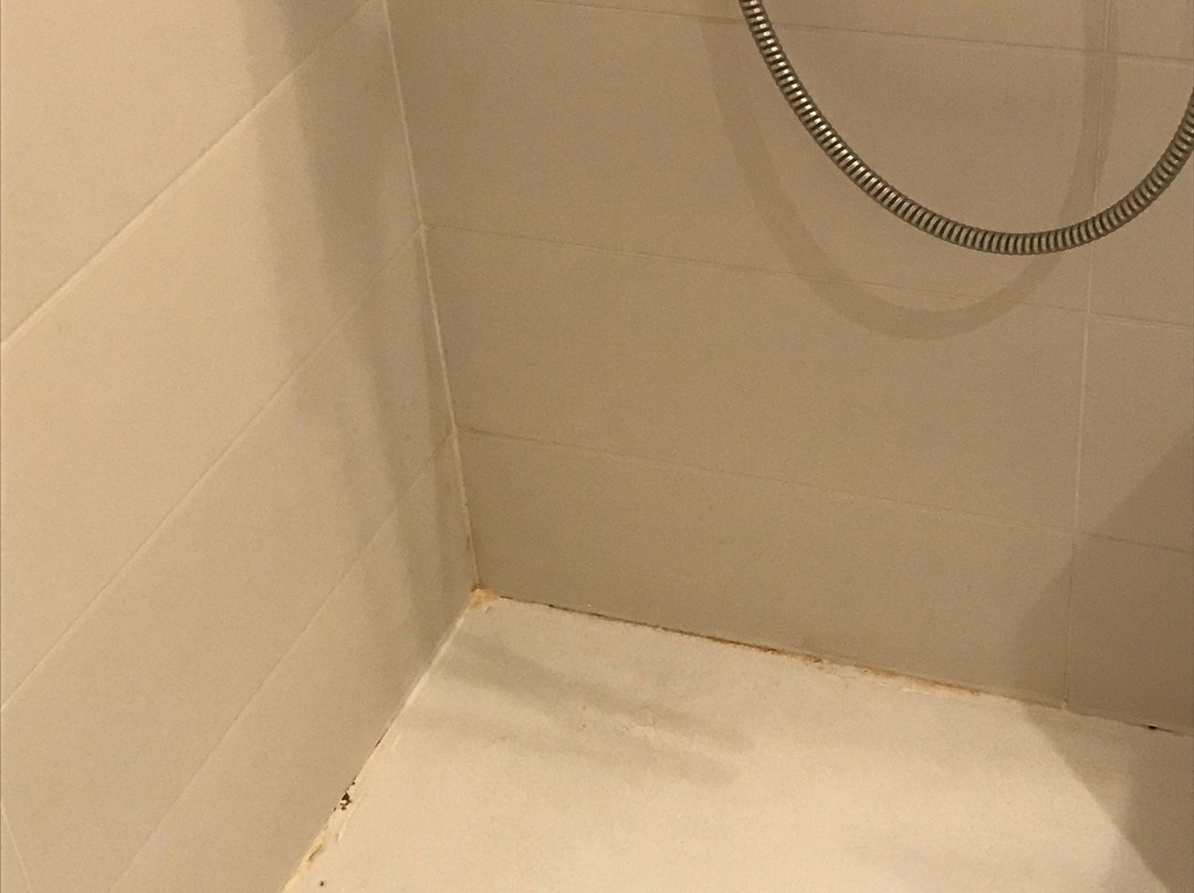 大公园酒店主图