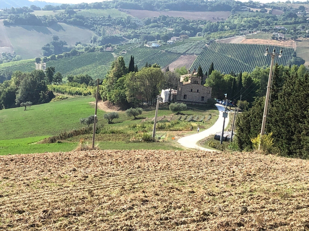 Agriturismo La Campana主图