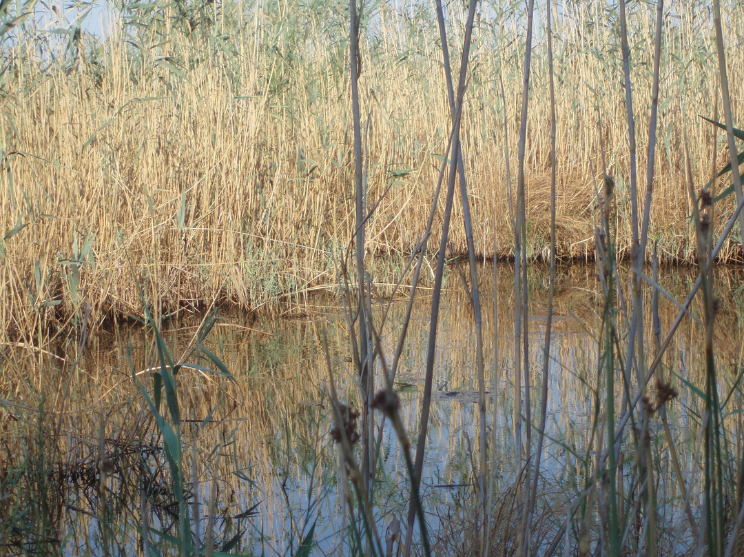 National Park of Kotychi and Strofylia Wetlands-Kalogria必去景点