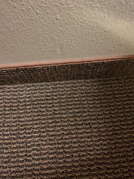 佩恩斯维尔套房酒店-官方