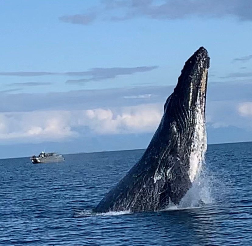 Hoonah Travel Adventures-胡纳必去景点