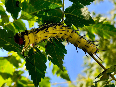 密云龙云山-北京市必去景点