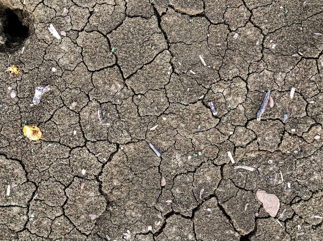 Azienda Agricola Bioviola & Sicilì Bottega Biologica-Alcamo必去景点