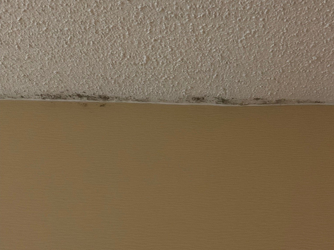 瀑布教堂贝斯特韦斯特酒店主图