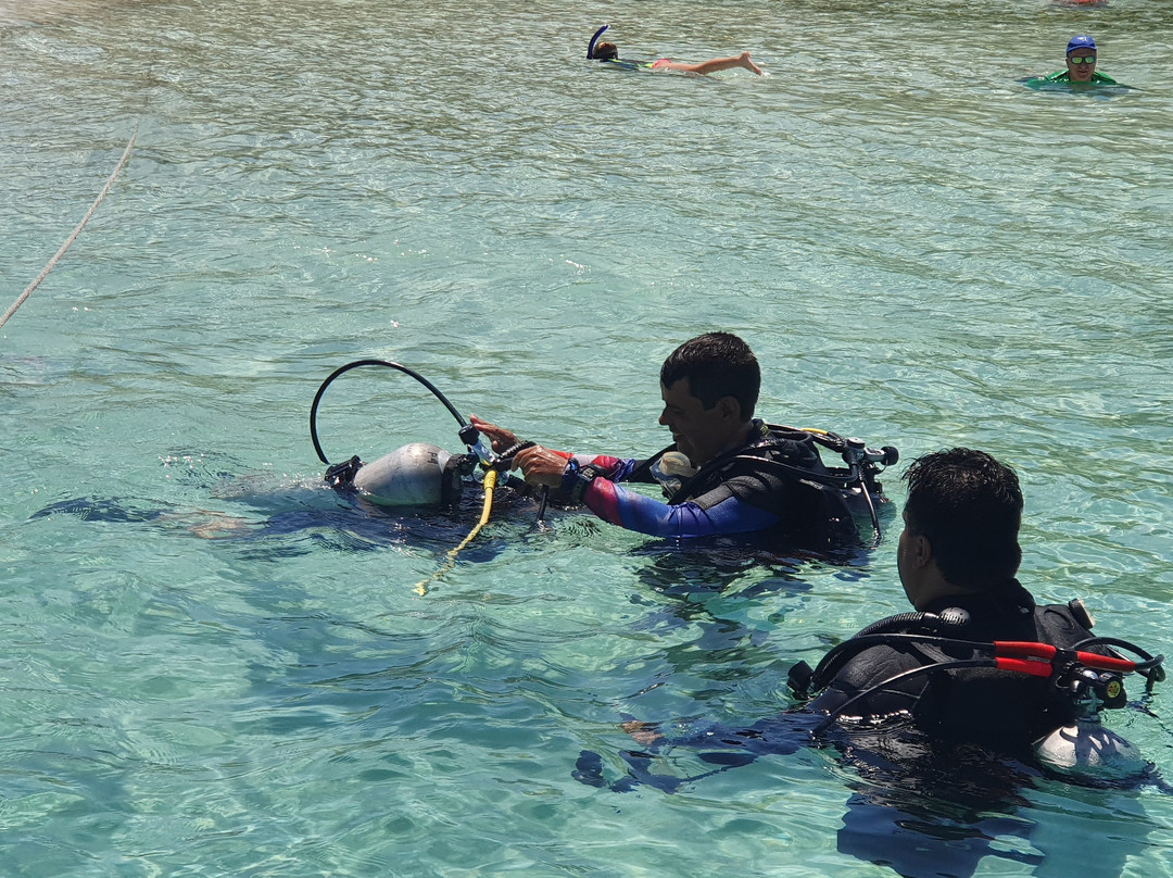 Frogman Dive Center-图卡卡斯必去景点