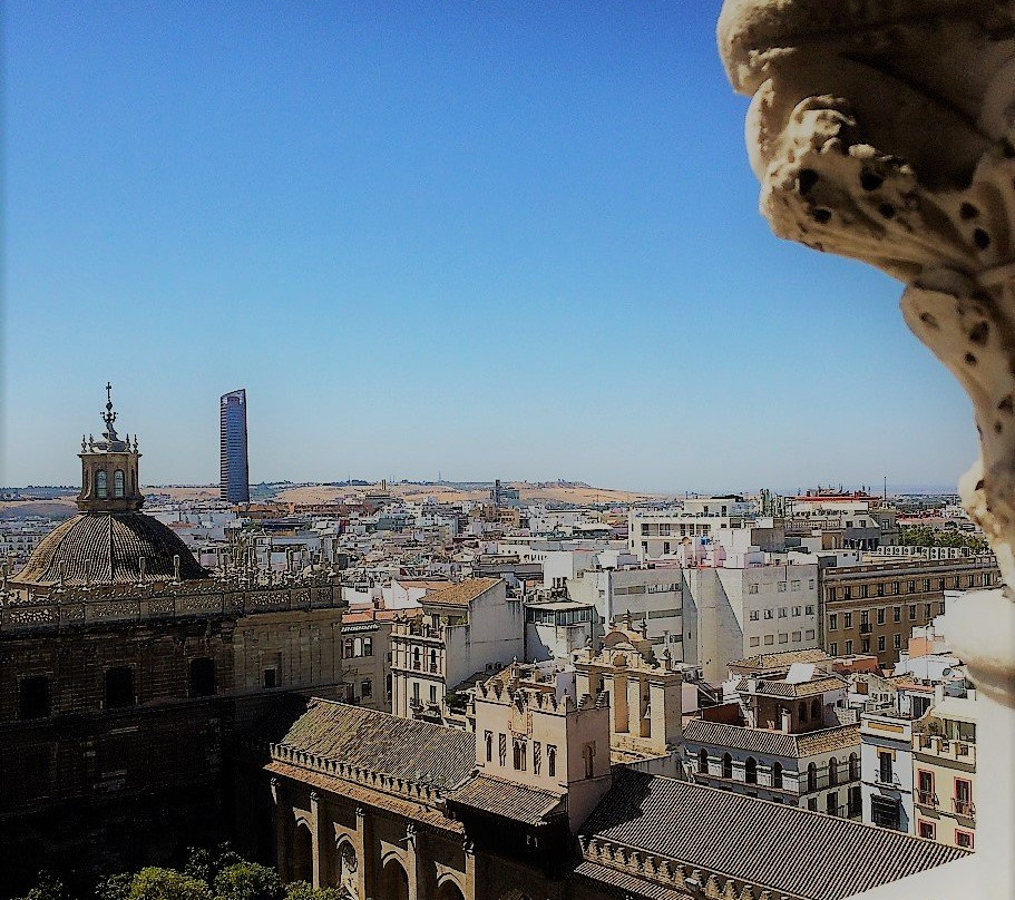 Giralda Mora-塞维利亚必去景点