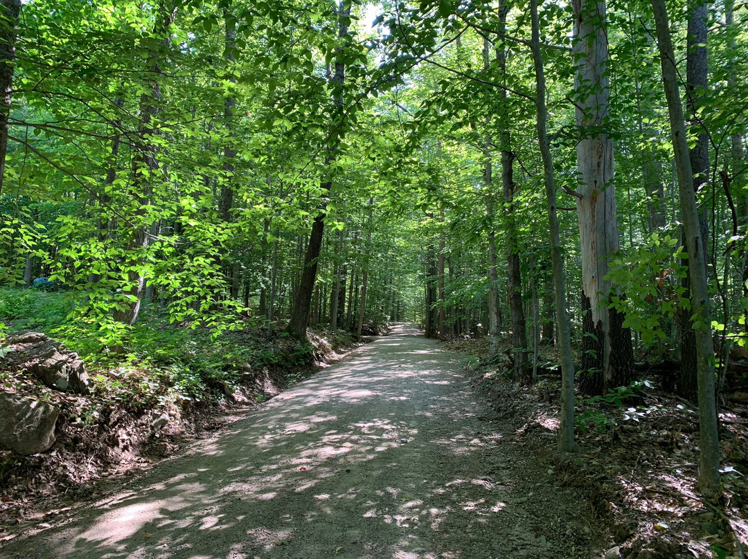 Old Field House主图