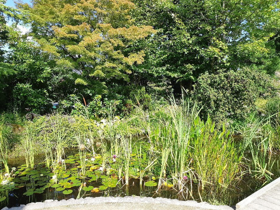 Parc Naturel Régional du Golfe du Morbihan-瓦讷必去景点