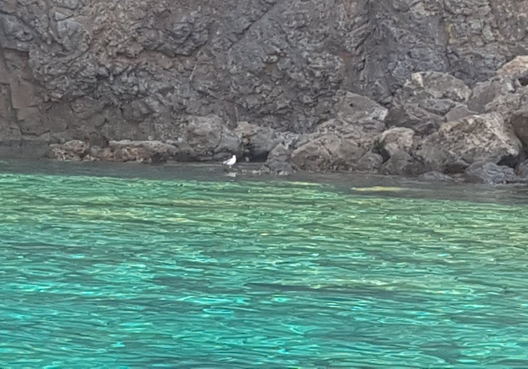 Asia escursioni in barca alle Isole Eolie-利帕里必去景点