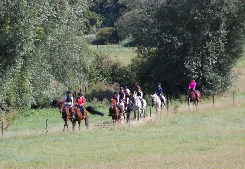 Valley Farm Equestrian Leisure-Wickham Market必去景点