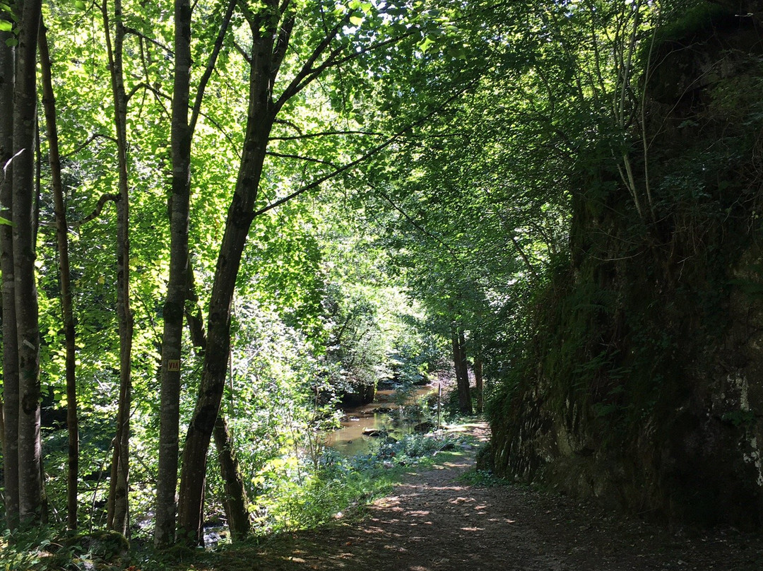 Vallée des Rouets景点图片