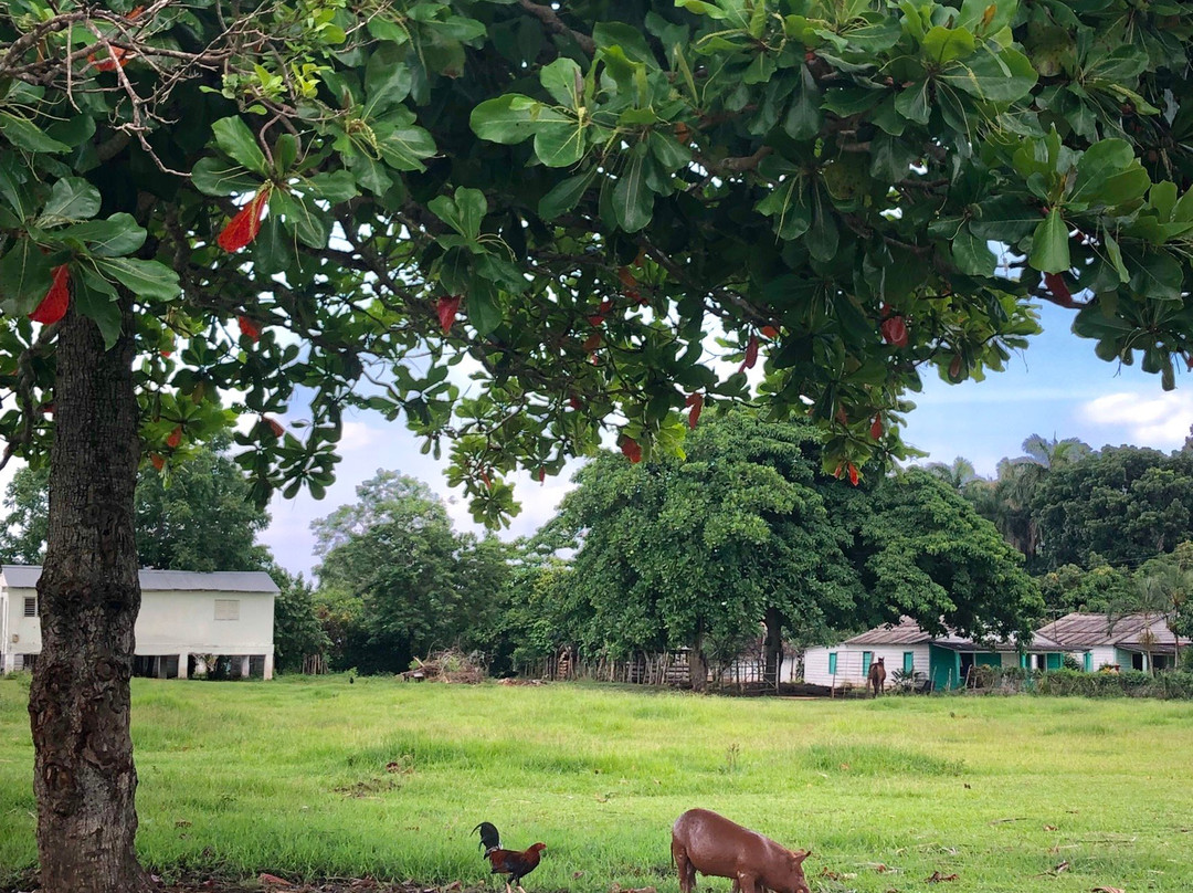 Hostal Trujillo主图