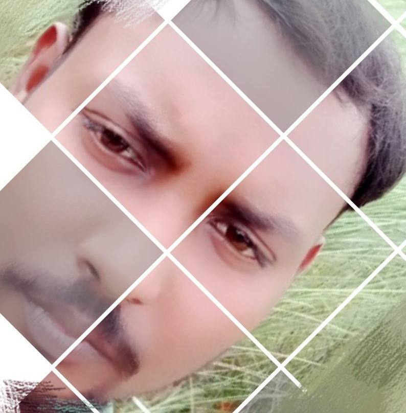 Hotel Natraj Royal主图