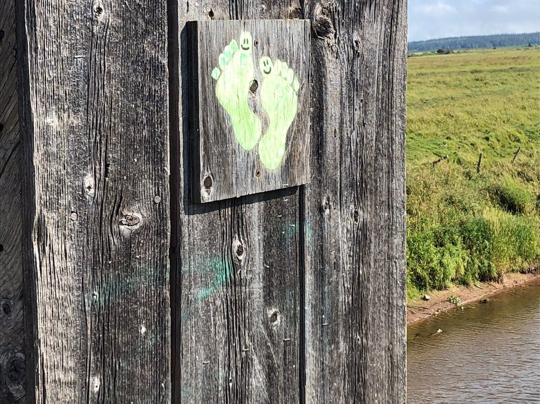 Sawmill Creek Bridge景点图片
