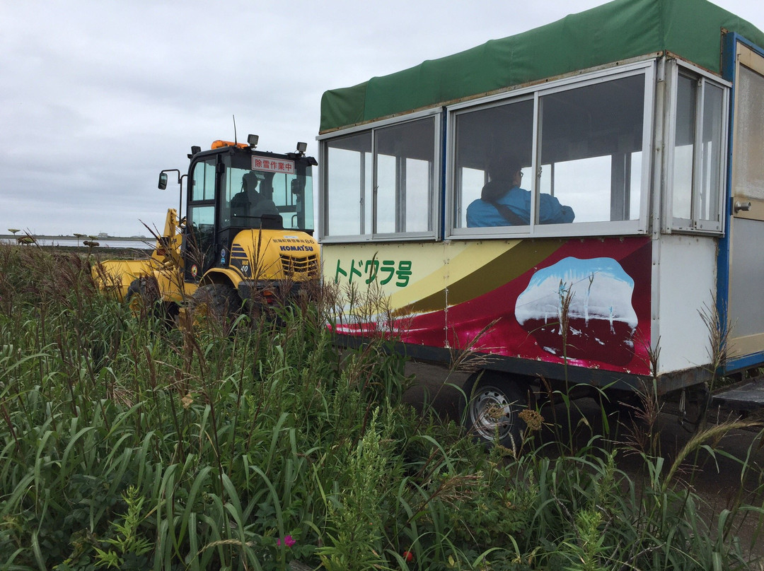 Todowara-别海町必去景点