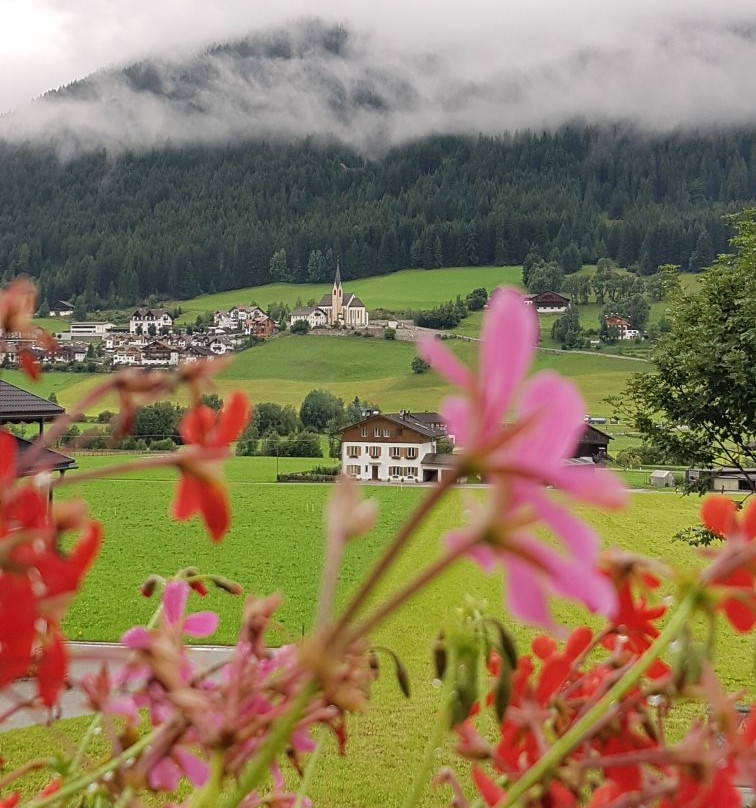 Hotel Waldheim主图