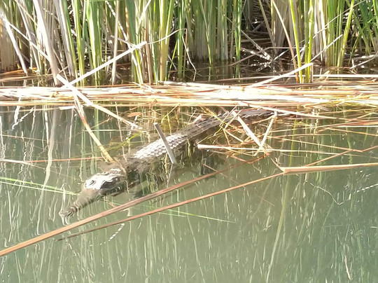 Go Wild Adventure Tours - Econoeing-库努纳拉必去景点